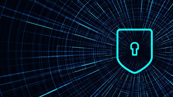 seguridad de la informacion